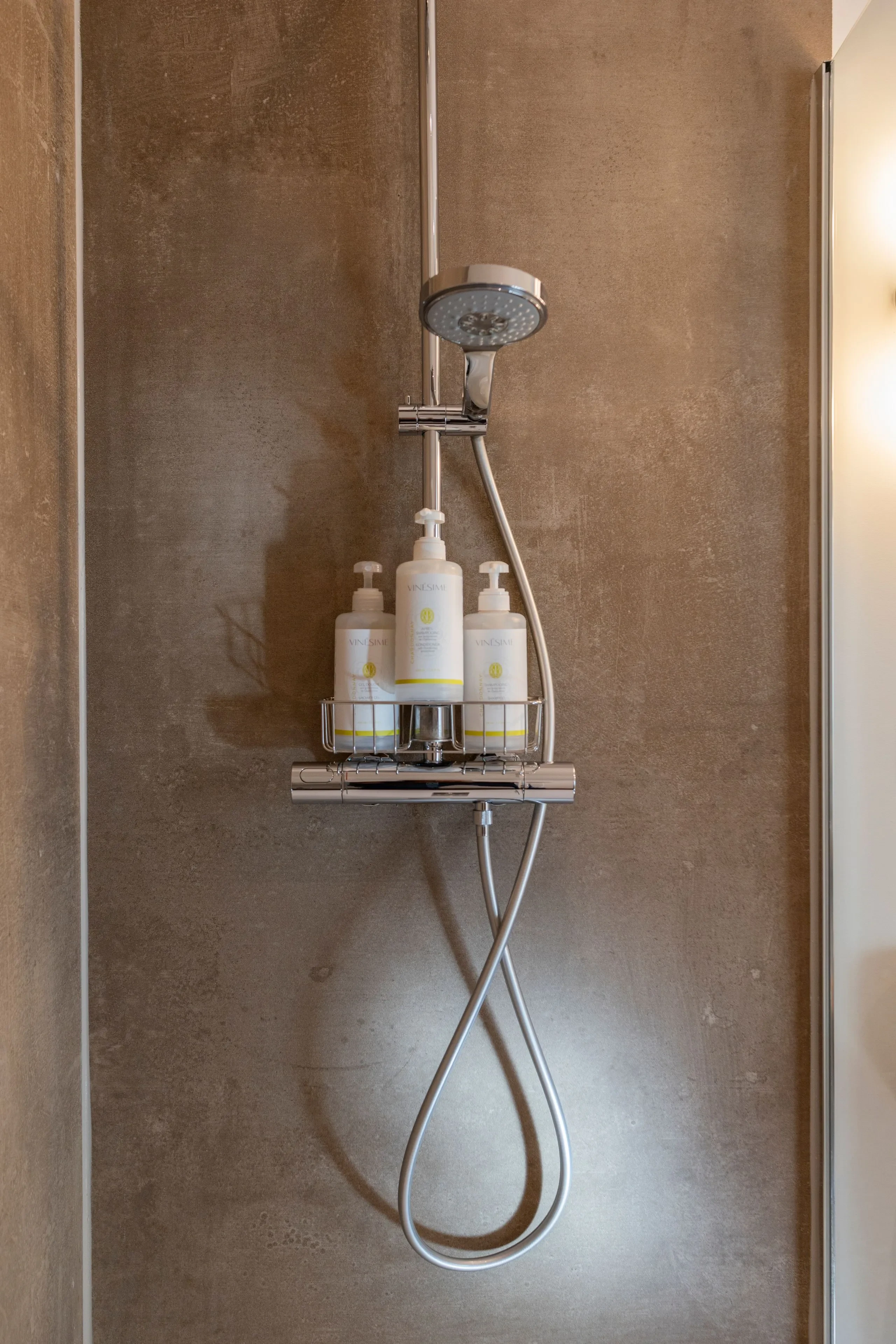 Douche moderne avec produits de soin muraux