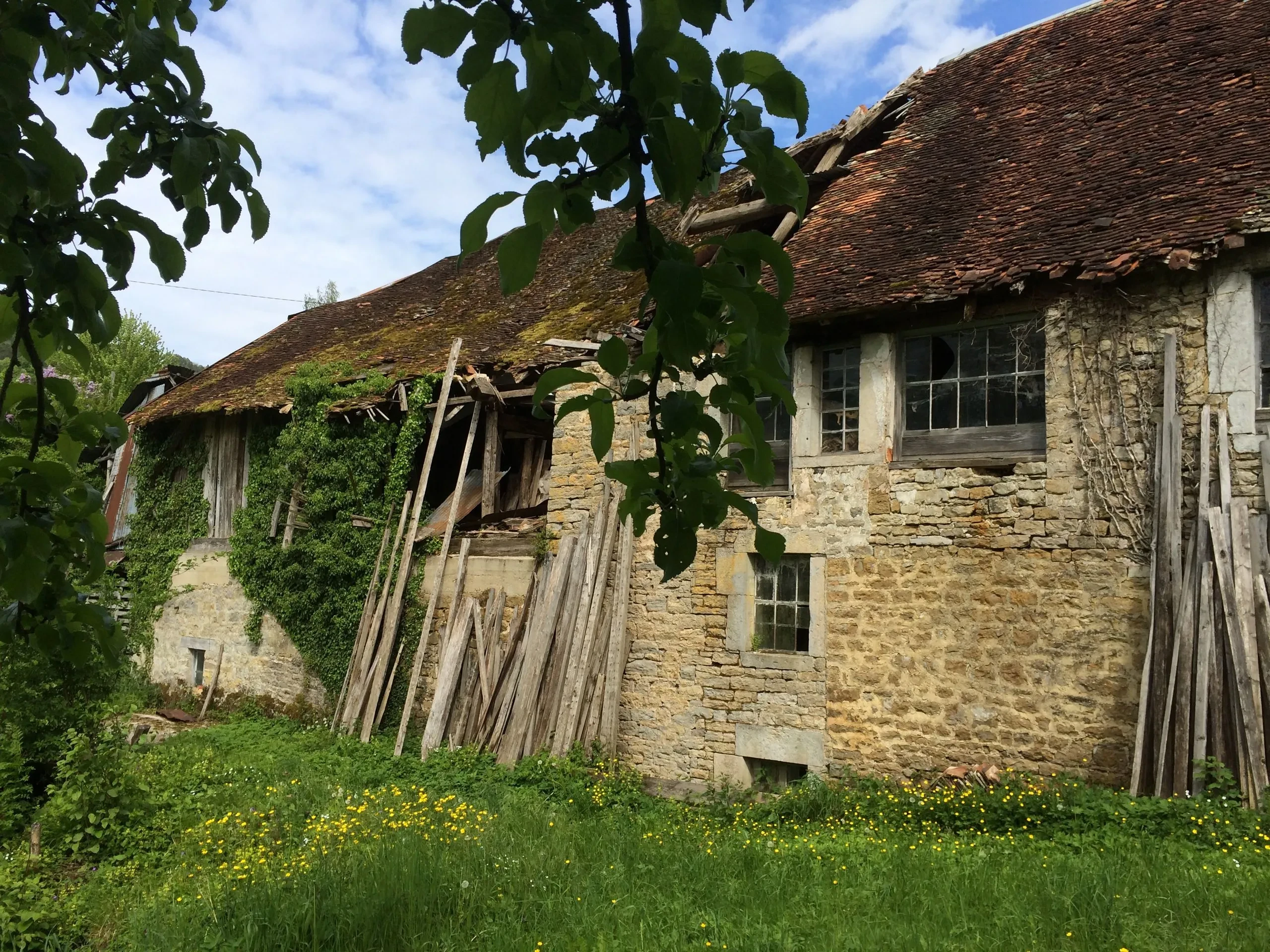 Vieille grange en pierre envahie par la végétation - chambres d hôtes & spa la scierie - Domaine la Scierie